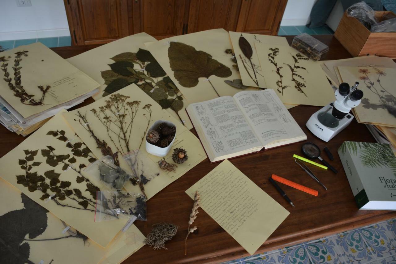 Casale Dionisia, Santa Maria Di Castellabate, Appartamento Iris Bagian luar foto